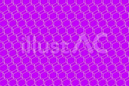 二重サイバーハニカム柄色紫