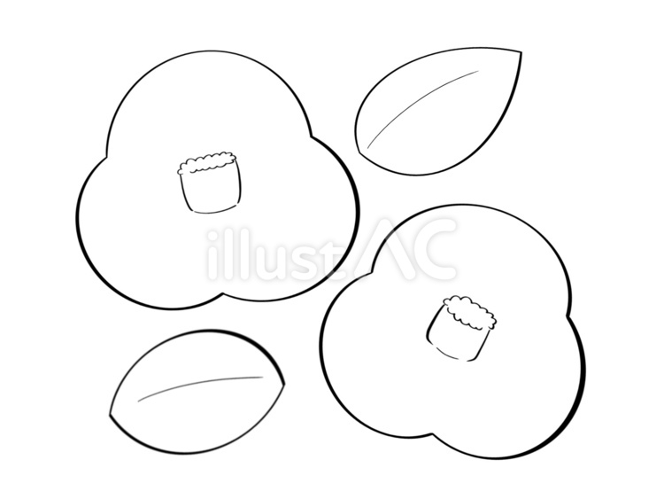 白黒のツバキの花 つばき,花,植物のイラスト素材