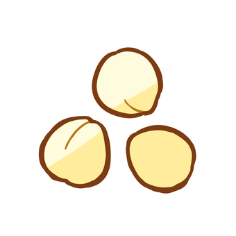 ヘーゼルナッツ 食べ物,ヘーゼルナッツ,ナッツ,素焼き,おやつ,間食,木の実,手書きのイラスト素材