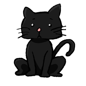 Cat, cat, animal, black cat, JPG and PNG