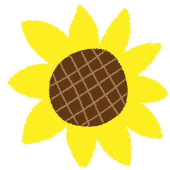 sunflower, sunflower, flower, flour, JPG and PNG