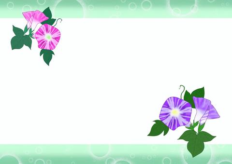 牽牛花框架, 喇叭花, 框架, 花, JPG 和 PNG