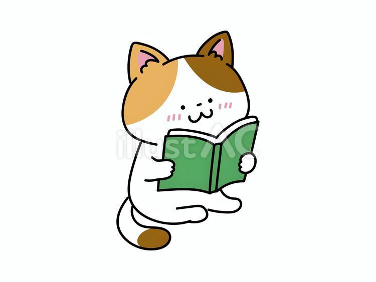 読書をするかわいい三毛猫 読書,読書の秋,読み聞かせのイラスト素材