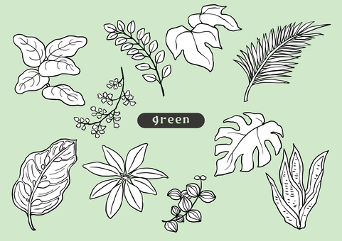 手描き風の観葉植物モノクロセット 観葉植物,植物,インテリア,葉っぱ,シンプル,手描き風,ボタニカル,自然,線,ペン画のイラスト素材