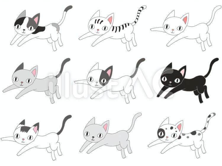 猫.2 猫,ねこ,ネコのイラスト素材