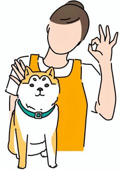 柴犬と指で丸を作る女性　カラー 柴犬,ペットシッター,ペットサロン,エプロン,女性,カラーのイラスト素材
