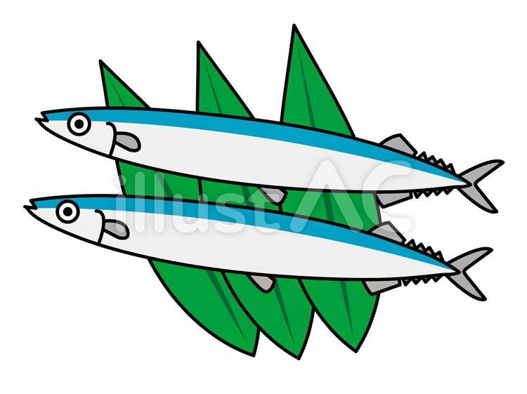 さんまと笹の葉 さんま,秋刀魚,笹の葉のイラスト素材