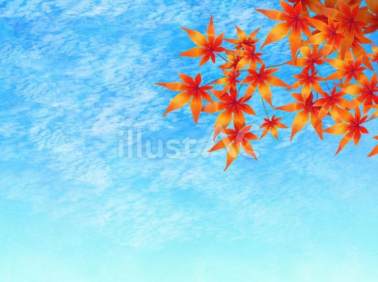 秋のうろこ雲空ともみじの葉イラスト - No: 24134345｜無料イラスト・フリー素材なら「イラストAC」
