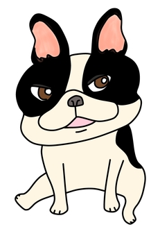 お座りするフレンチブルドックパイド フレンチブルドック,フレブル,鼻ぺちゃ犬,かわいい,ゆるい,手描き,ブヒ,パイド,お座りのイラスト素材