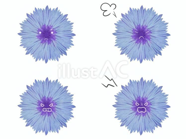 花のキャラの表情セット　怒　ヤグルマギク ヤグルマギク,花,キャラクターのイラスト素材