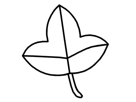 葉 葉,植物,器官,維管束,光合成,イラストのイラスト素材