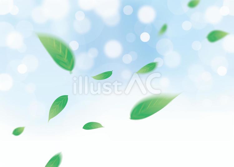 緑の葉のイラスト 葉,植物,舞うのイラスト素材