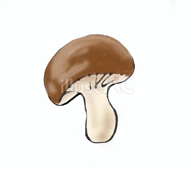 きのこ きのこ,しいたけ,食材のイラスト素材