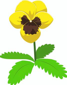 パンジー パンジー,スミレ科,園芸,観賞植物,デフォルメ,ベクター,イラスト,商用フリーのイラスト素材