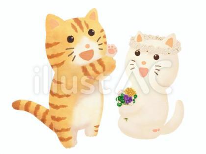 茶虎と花かんむりの猫