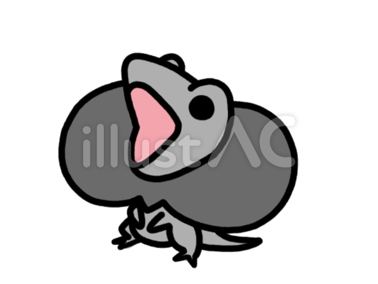 エリマキトカゲ　黒 エリマキトカゲ,トカゲ,動物のイラスト素材