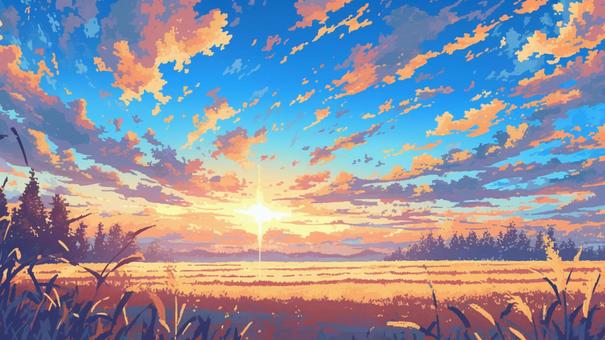 Illustration, sunset, natural, plant, 