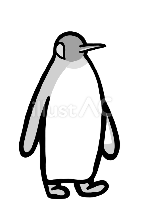 かっこいい感じのキングペンギン　グレー キングペンギン,オウサマペンギン,ペンギンのイラスト素材