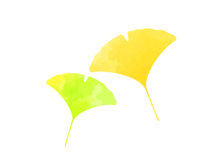 watercolor ginkgo, , JPG, PNG and AI