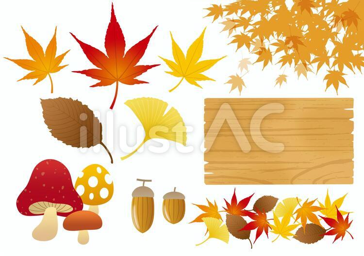 秋の定番パーツ 秋,紅葉,どんぐりのイラスト素材