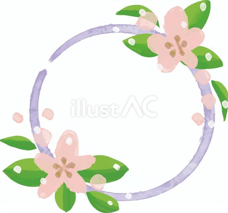 水彩画さくらフレーム（パープル） 水彩画,桜,丸のイラスト素材