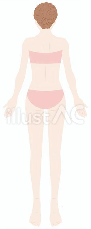 bodyB　B 女性,美容,ビューティーのイラスト素材