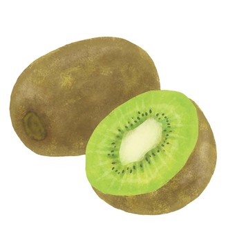 Illustration, fruta, kiwi, comida, 