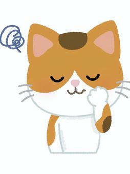 三毛猫悩む 三毛猫,悩む,モヤモヤ,考える,ネコ,キャット,動物,ペット,日本猫,和猫のイラスト素材