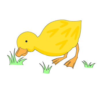 duck, , JPG and PNG