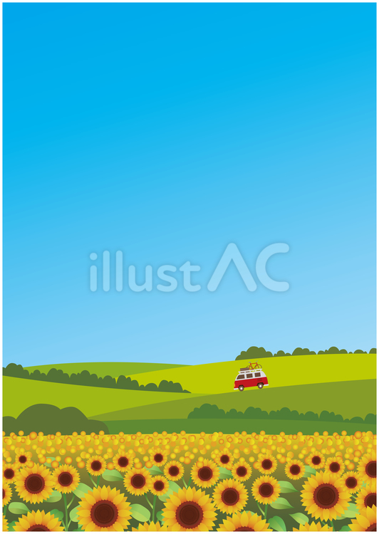 夏のひまわり畑 夏,夏季,ひまわりのイラスト素材