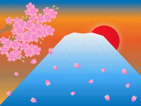 朝日の桜吹雪富士 朝日の桜吹雪富士 桜,花,富士山,山,太陽,朝日,朝方,桜の木,つぼみ,桜吹雪のイラスト素材