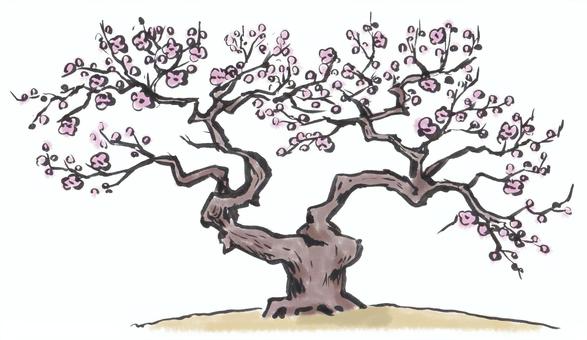 梅の木 梅,木,自然,緑,筆描き,墨絵,水墨画,植物のイラスト素材