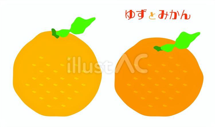 ゆずとみかん ゆず,みかん,柑橘のイラスト素材
