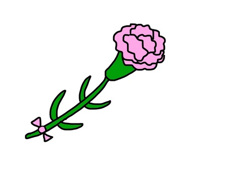 flower, flower, mother's day, carnation, JPG and PNG