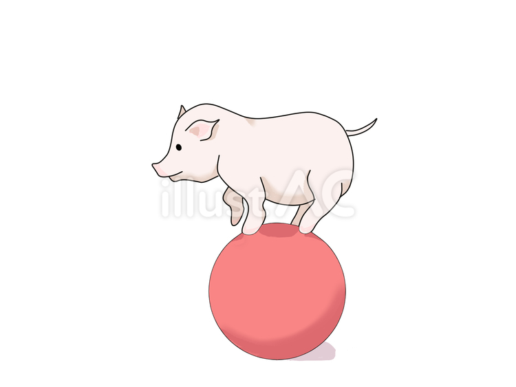 豚（玉乗り） 豚,動物,単体のイラスト素材