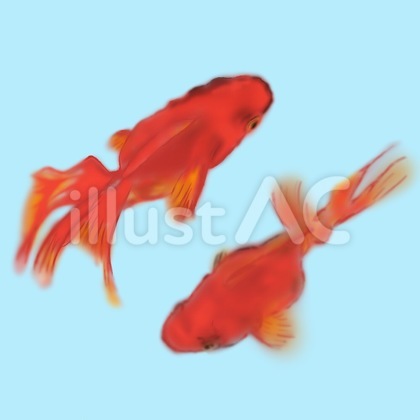金魚