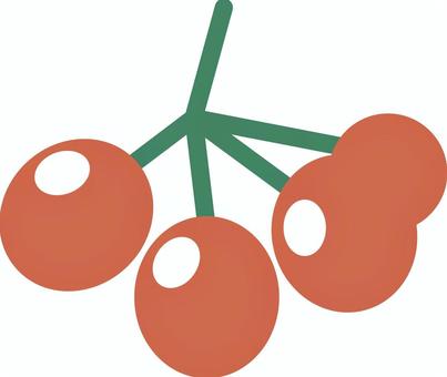 秋の木の実のイラスト 木の実,木,赤,季節,実り,行事,収穫,自然,晩秋,飾りのイラスト素材