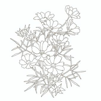 コスモス 花,線画,コスモス,秋桜,秋,ぬり絵,シンプル,綺麗,手描き,手書きのイラスト素材