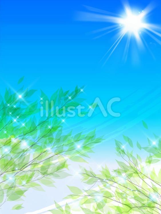 gn073 キラキラ太陽と新緑の木漏れ日 新緑,光,リアルのイラスト素材