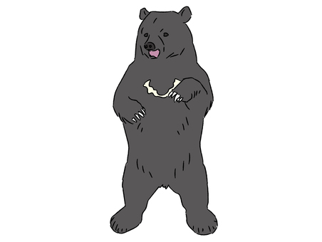 立ち上がるツキノワグマ 熊,ツキノワグマ,獣害,猛獣,熊害,立ち上がる,熊牧場のイラスト素材