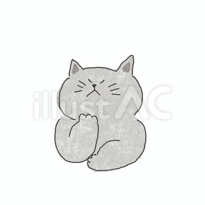 考えるねこちゃん♪
