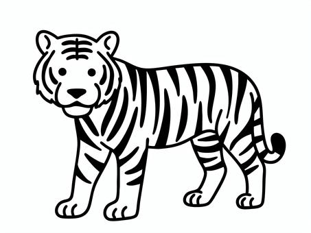 トラ 虎,タイガー,生き物,動物,哺乳類,自然,動物園,野生,シンプル,かわいいのイラスト素材