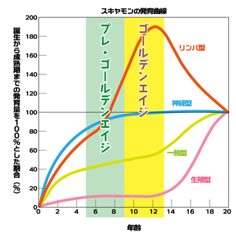 発育曲線 スキャモン,発育曲線,発達,スクール,ゴールデンエイジ,成長曲線,成長,幼児,教育,小学校のイラスト素材