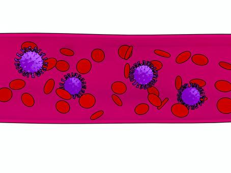 血管の中の赤血球とウイルス ウイルス,黴菌,細菌,伝染病,微生物,バクテリア,病気,バイキン,3d,cgのイラスト素材