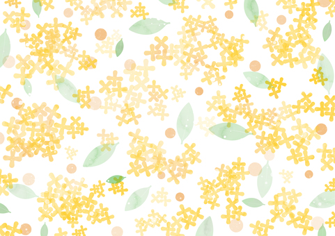 キンモクセイの水彩背景_白背景 秋,背景,水彩,キンモクセイ,イラスト,にじみ,まだら,黄色,背景白,花のイラスト素材