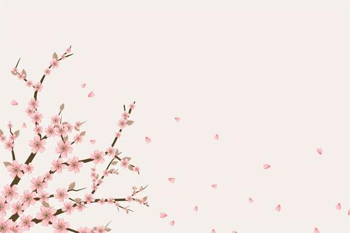 Illustration, cherry blossoms, frame, petal, 