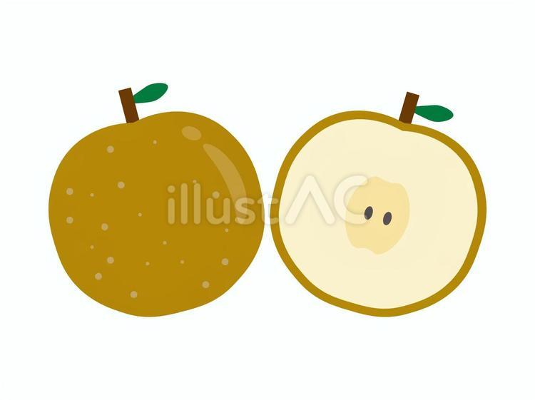 カットした梨 梨,果物,果実のイラスト素材