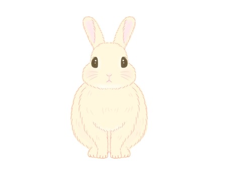 Illustration, rabbit, hand drawn, handwriting, 