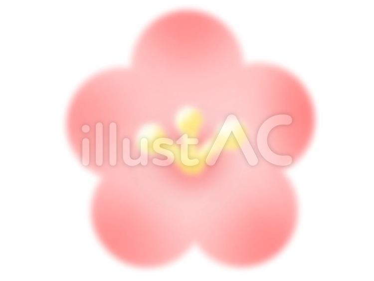 梅の花2(赤) 梅,うめ,ウメのイラスト素材