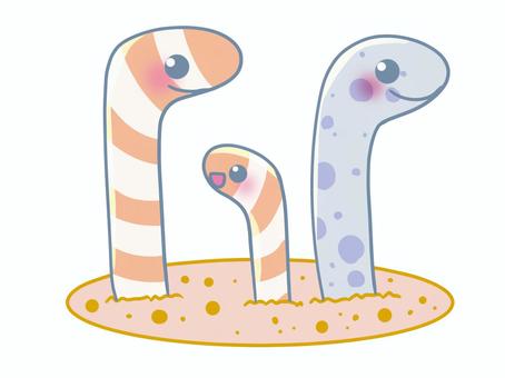 チンアナゴ チンアナゴ チンアナゴ,動物,可愛い,癒し,海,水族館,水のイラスト素材